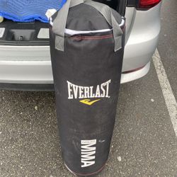 Heavy Bag Excellent Condition MMA