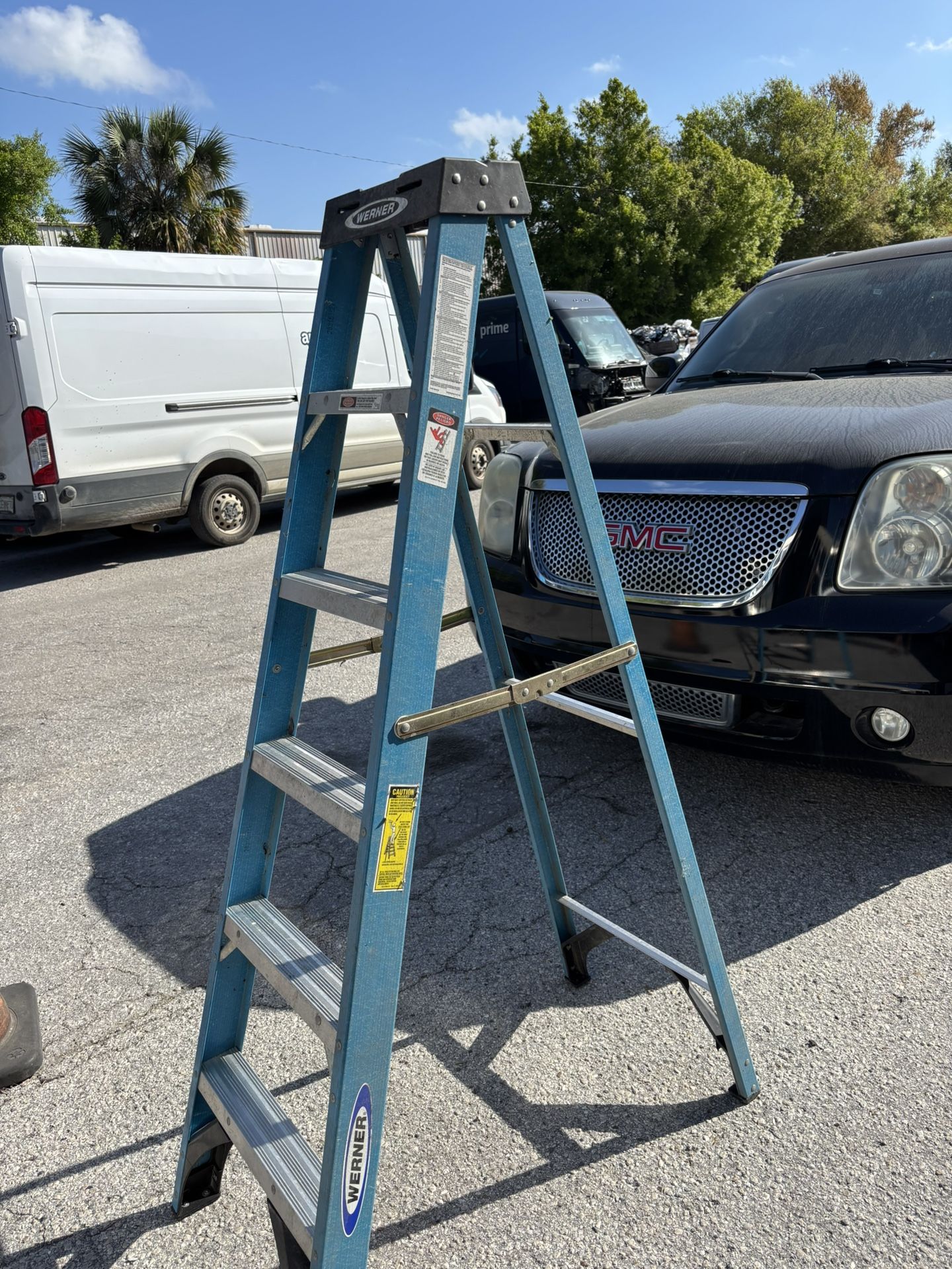 Werner 6 Foot Ladder