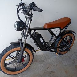 Ridstar Q30 Ebike Brand New!