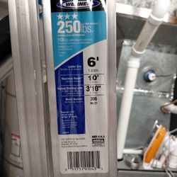 Wagner 6" New Step Ladder 