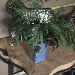 Artificial Plant 17"tall $10 In Farmersville 