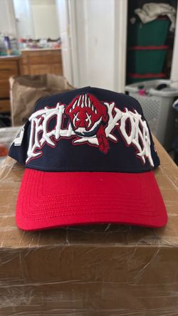Cleveland Indians World Series 31 hat