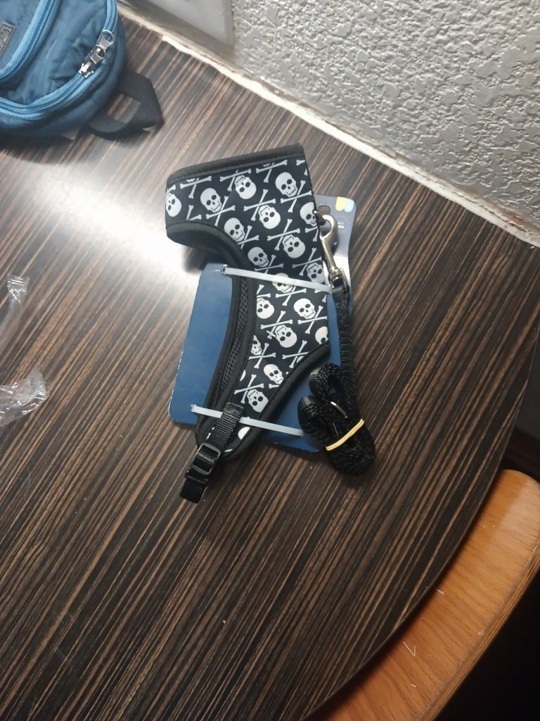 Small cat/dog harness and leash aet