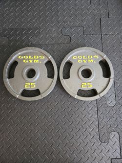 2x 25lb Golds Gym Olympic Weight Plates