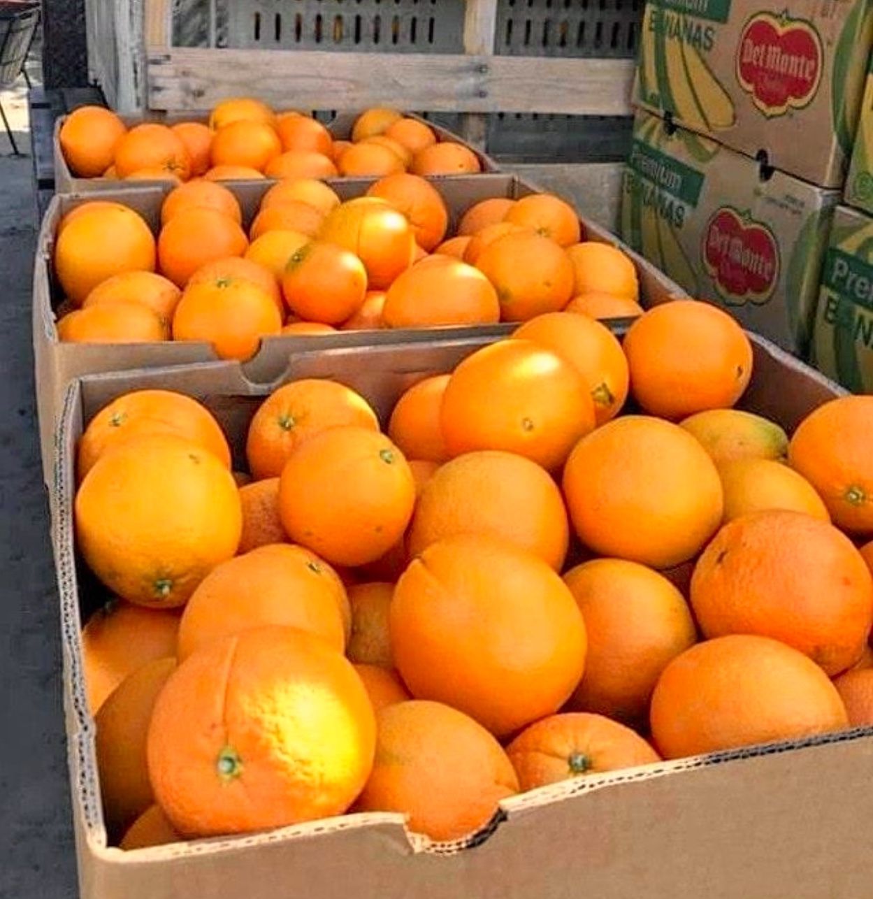 Cara Cara Oranges Sale