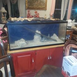 55 GALLON FISH TANK 