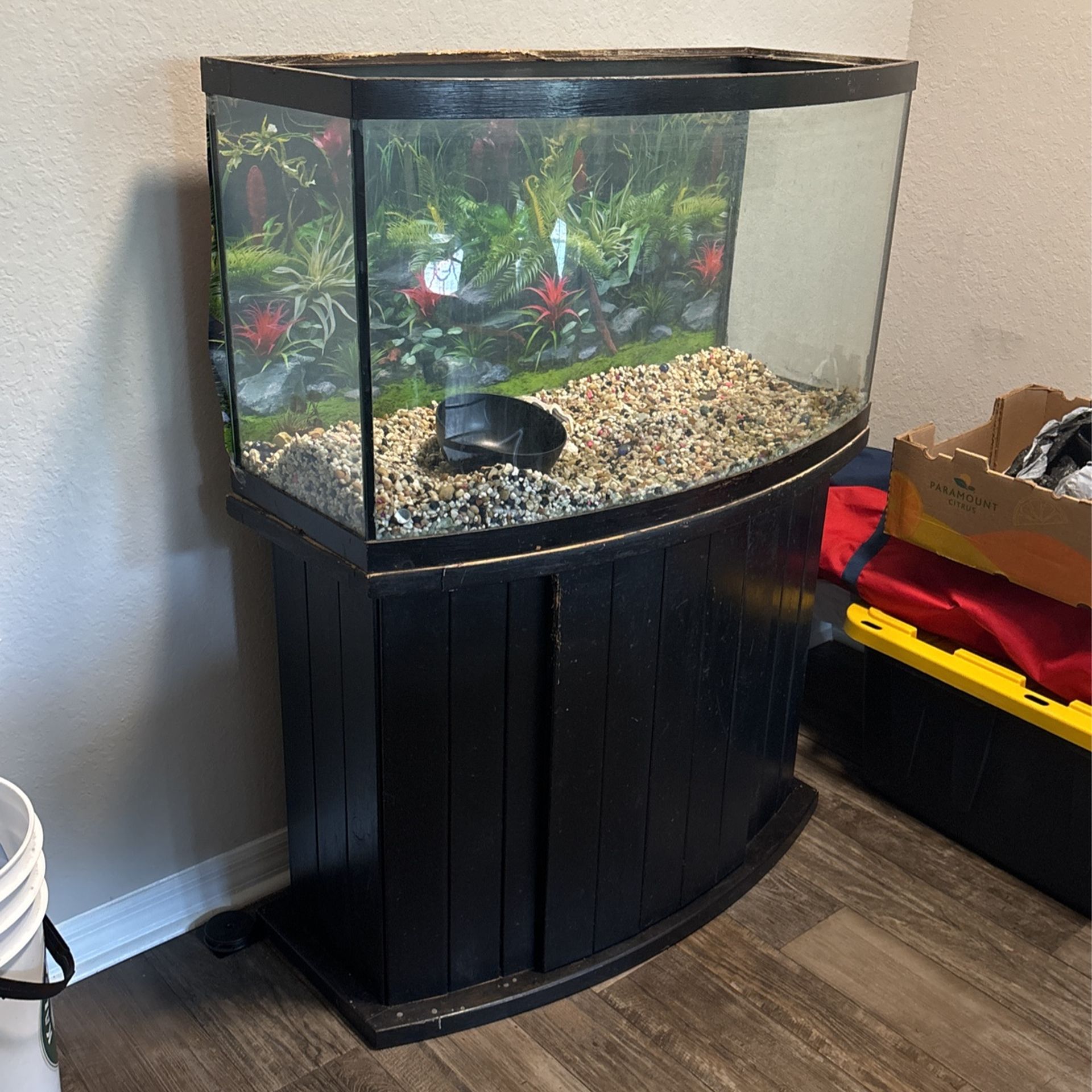 Project Broken 55 Gallon Bowed Fish Tank And Gravel In