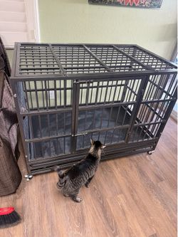 Pet crate