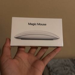 Magic Mouse2