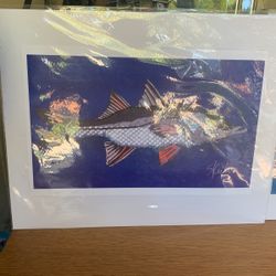 Two New Fish Prints From Florida Keys Artist Skiel