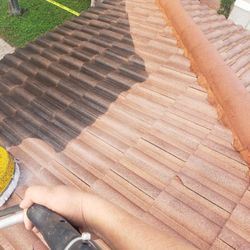 Roof,patio,driveway.