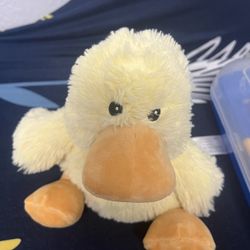 Stuff Animal Duck