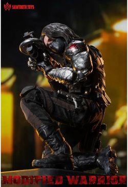Sawtooth winter soldier