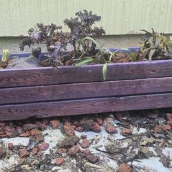 Custom Purple Planter