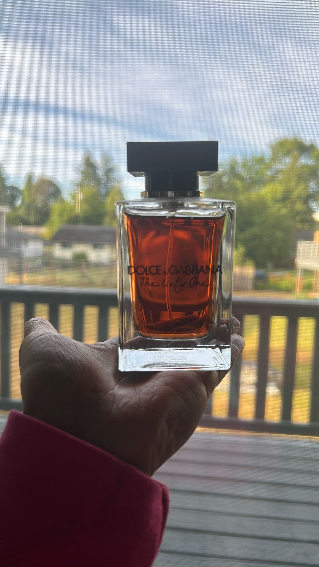 Dolce & Gabbana The Only One