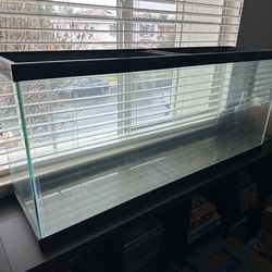 55 Gallon Aquarium