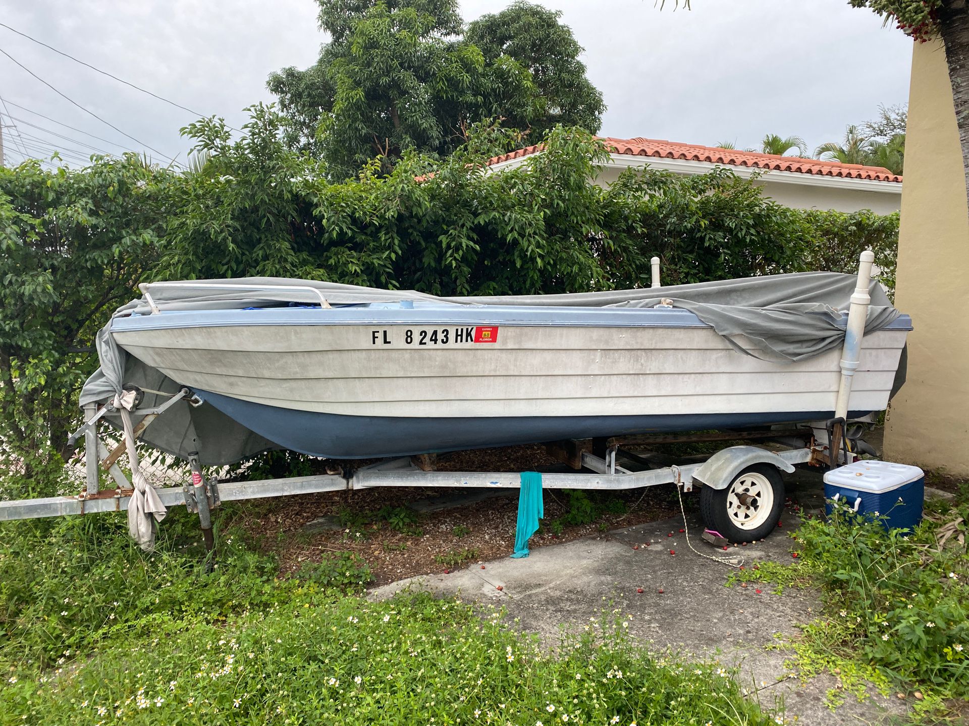 17 ft boat with a 60hp outboard evinrude
