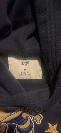 Hollister Hoodie 