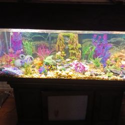 75 Gallon Fishing Prayer All Accessories