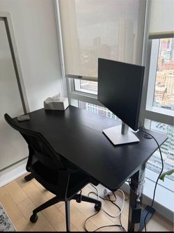 Monitor + Standing Desk