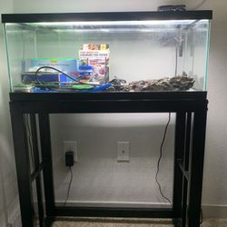 20g long fish tank 