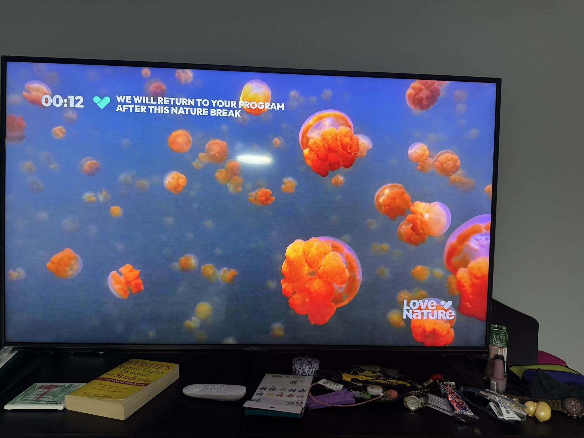 Vizio 50 Inches Like New