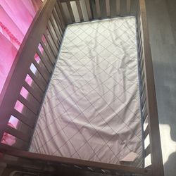 Baby Cribs 