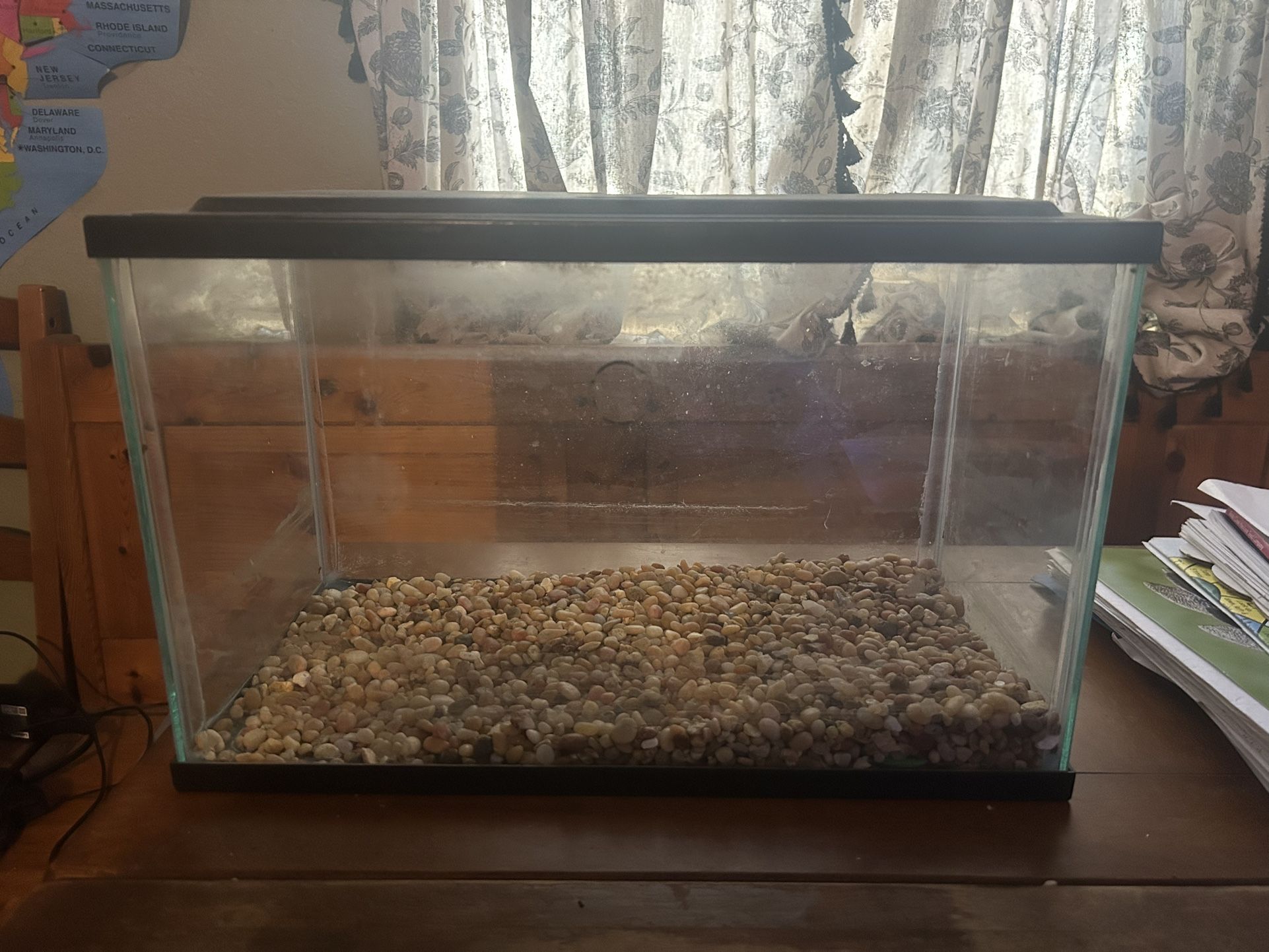 Fish Tank