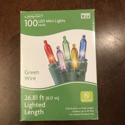 100 Mini Led Lights