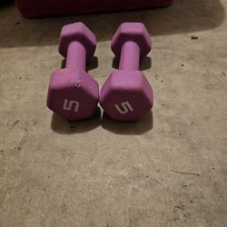 5lb Dumbell Weight Set