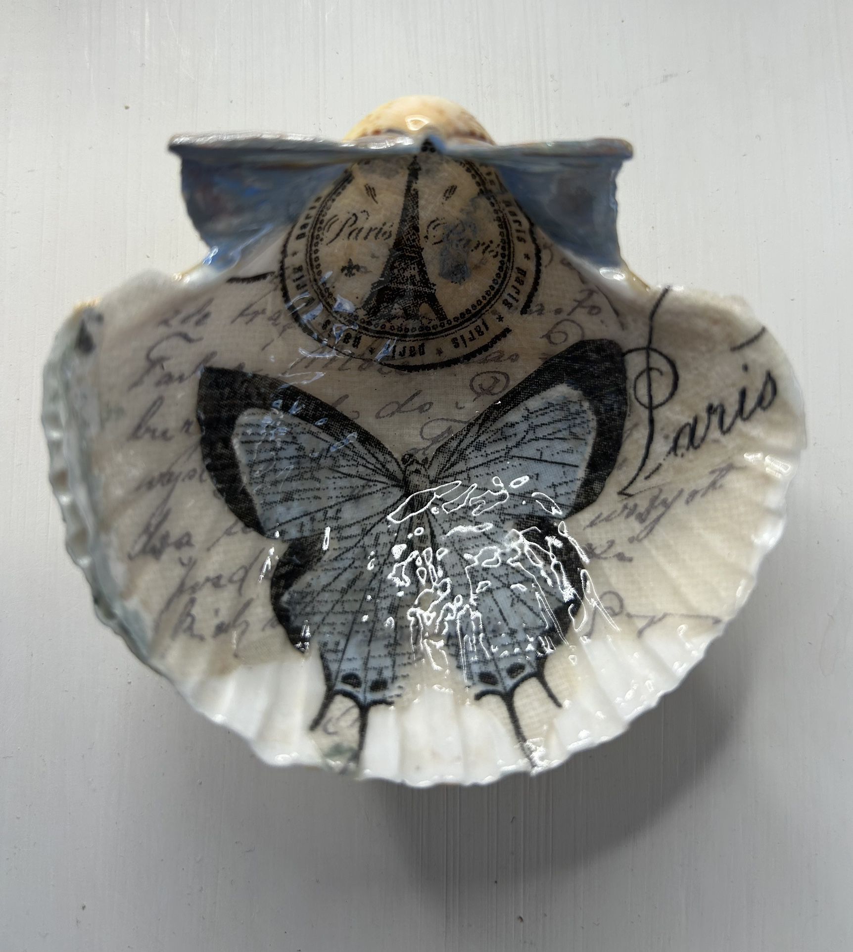 Fabulous Butterfly Decoupaged Shells … See All Four Pictures