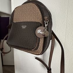 Small Brown Guess Bag 