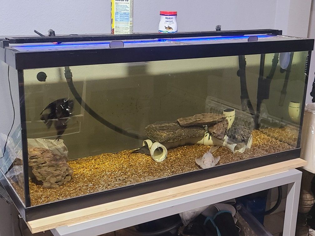 75 Gallon Aquarium