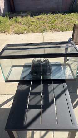 Fish or reptile tank and light