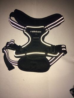 Dog Harness and xtra accessories