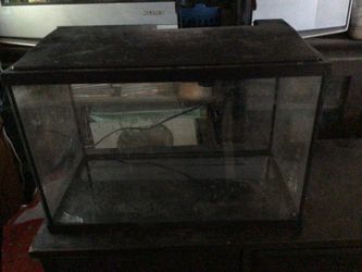 5 Gallon TopFin Fish Tank Aquarium Kit
