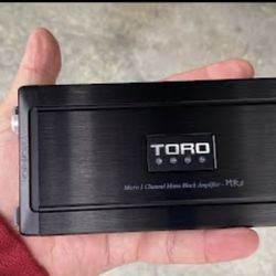 Toro Audio Micro Amplifier 