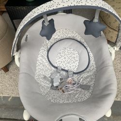 Graco Infant Swing