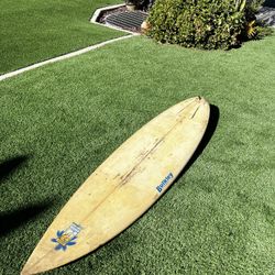 Bulkley Surfboard