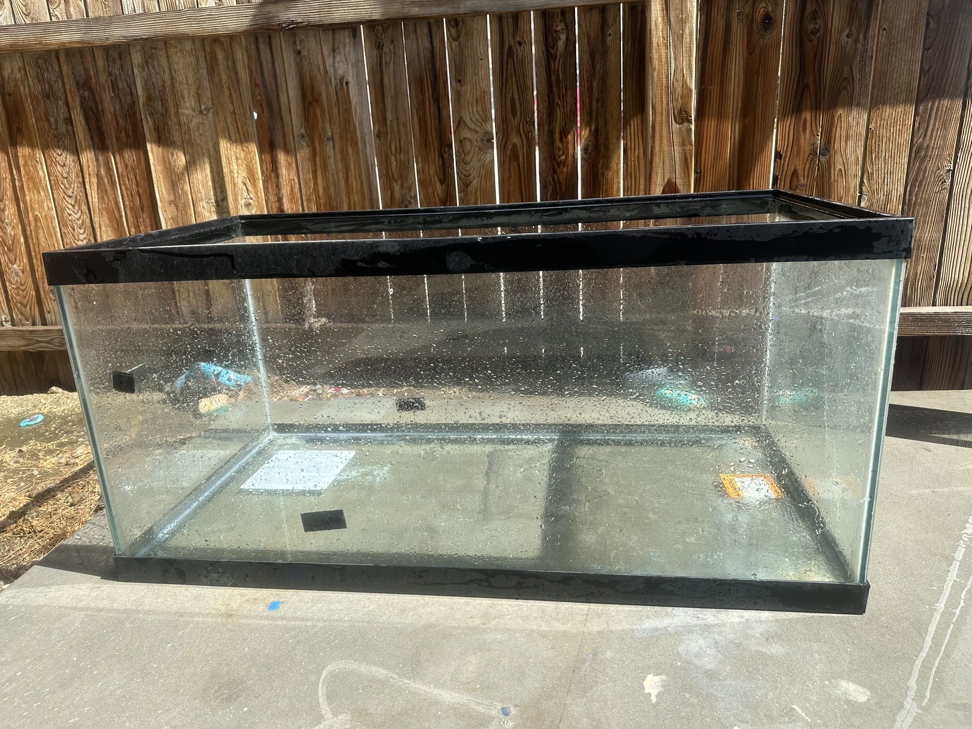 Open Glass Aquarium