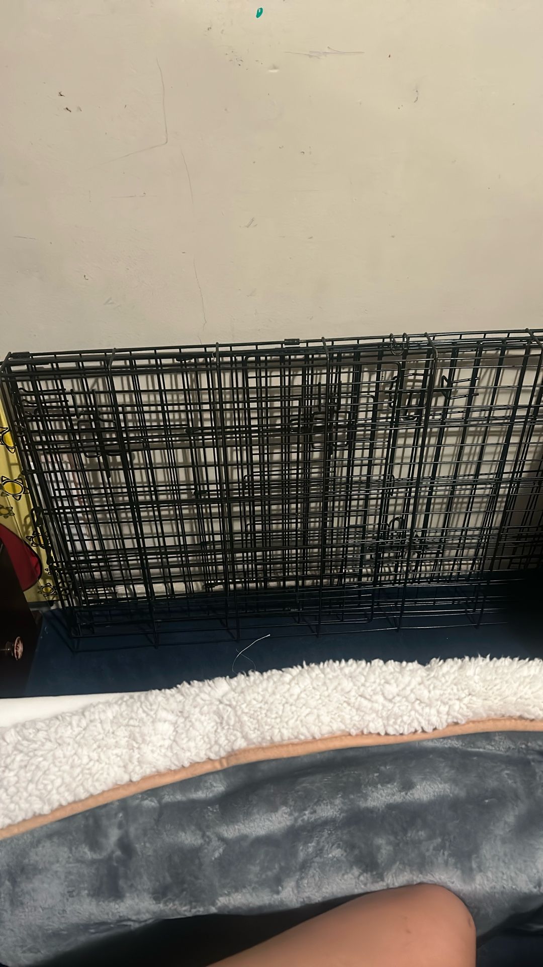 Dog Crate