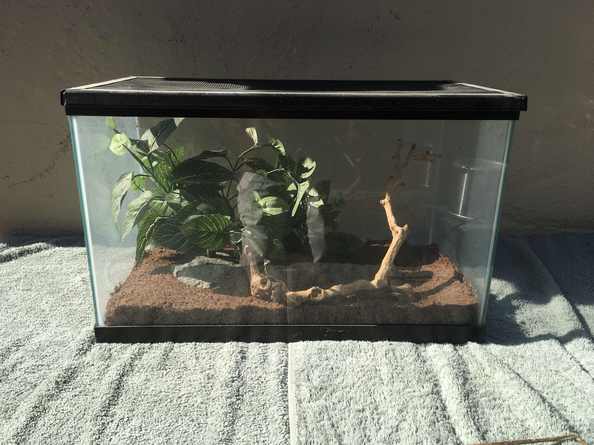 Reptile home. Comes fully furnished