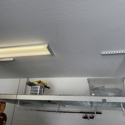 Overhead Storage Rack