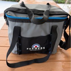 New Fully Insulated Lunch Cooler Bag - Priced for Fast Sale!