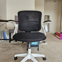 Ergonomic Computer Desk chair with Lumbar Support