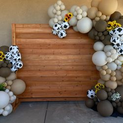 Balloons/ globos- HabloEspañol 