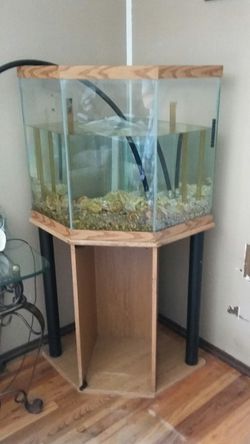 Fish tank