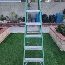6 Foot Ladder