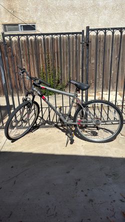 Roadmaster Bike 24”