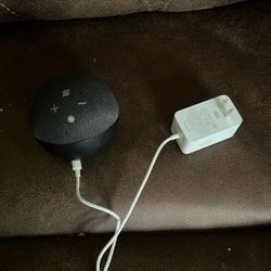 Echo Dot 